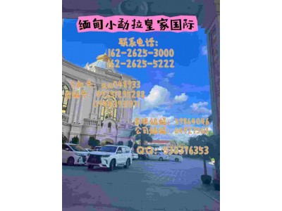 小勐拉皇 -家国际开户联系电话：162 2625 3000