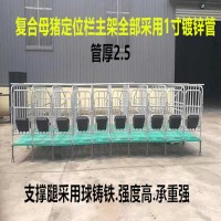 母猪限位栏  猪用全复合限位栏现货直销