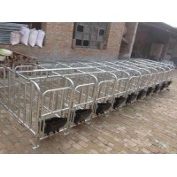 广东母猪限位栏制造厂家-万晟畜牧设备定做大猪定位栏