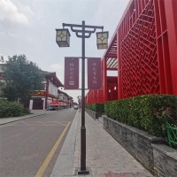 山东聊城中式仿古路灯庭院灯安装 天光灯具