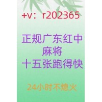 【给大家科普一下】手机红中麻将群1元1分@2023全面更新（哔哩/微博）