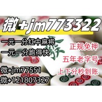 （超级好玩的）1元1分免押红中麻将（打call）