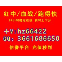 谁有一元一分红中癞子中码跑的快（哔哩哔哩）