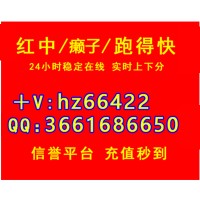 手机娱乐一元一分红中麻将跑的快无押金秒上下