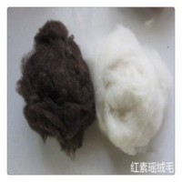 红素瑶绒毛厂供应羊羔绒原料 纺纱可拿样品