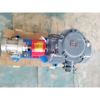 齿轮油泵 不锈钢齿轮泵 使用方便 天一直供
