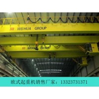 浙江温州欧式双梁起重机厂家设备安装防摇摆装置