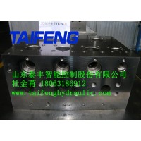 泰丰正品 YJ32-100XCV标准100吨二通插装阀厂家直供