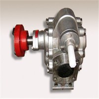 不锈钢齿轮泵 磨损小 工作效率高 可定制 泰盛泵阀
