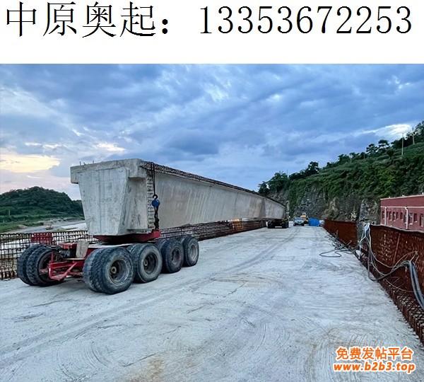 贵阳息烽县40-220吨架桥机3