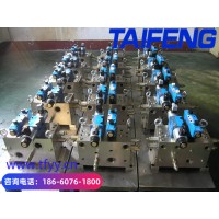 泰丰TAIFENG供应剪板机二通插装阀定制