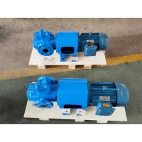 天一泵业LYB型立式圆弧齿轮泵ZYB渣油泵磁力螺杆泵
