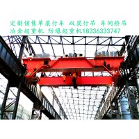 山东潍坊冶金铸造起重机厂家A7A8冶金吊有货销售