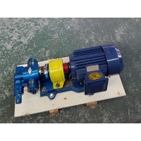 天一泵业齿轮油泵BW38/0.6保温齿轮泵