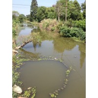 供应浙江杭州河道除臭剂、宁波河道除臭剂、温州河道除臭剂