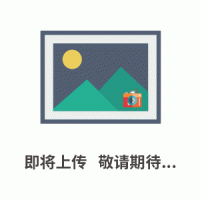 EMG纠偏伺服阀