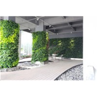 大厅垂直绿墙案例分享 河源蔚蓝环境绿化
