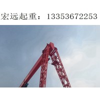 广东肇庆龙门吊出租  可增加多种保护装置