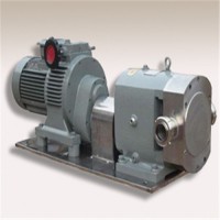 泰盛不锈钢凸轮转子泵 磁力泵可定制
