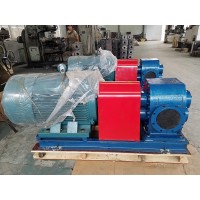 天一泵业BW保温齿轮泵 齿轮油泵 规格定制