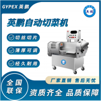 桂阳多功能电动智能自动切菜机YP-610-380（可切熟肉）