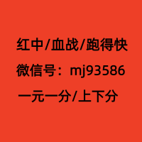 广州（重大通知）一块一分红中麻将群@2023已更新
