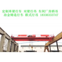 湖北荆州防爆起重机厂家机械车间用行吊报价