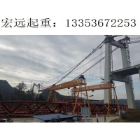 江苏南京龙门吊出租  55吨MG门式起重机 提供不同规格