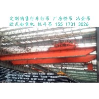 河北邯郸冶金铸造行吊是炼钢连铸工艺中的主要设备