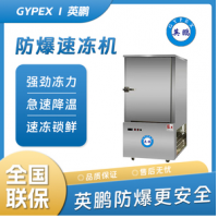 四川高效制冷节能低噪速冻机YP300SDG