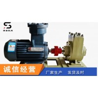 泰盛供应液化气叶片泵 不锈钢齿轮泵 规格定制