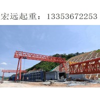 河南洛阳龙门吊出租  全程参与辅助实施