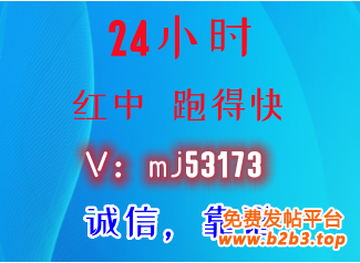 诚信mj53173