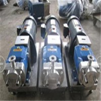 凸轮转子泵 罗茨泵 双向容积泵 适用广泛 泰盛供应