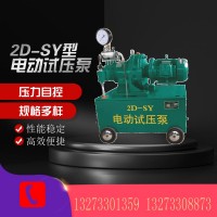 厂家2dsy型号电动打压泵  压力自控电动试压泵报价