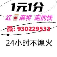 《百度科普》15张跑的快群24小时不熄火（小红书）