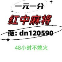 【筑基】正规红中麻将群2024已更新