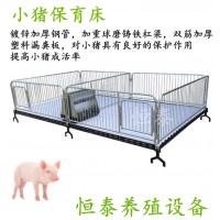 仔猪保育床 小猪用连体保育床生产厂家
