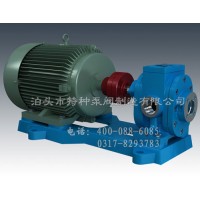 河南不锈钢齿轮油泵订做_泊特泵厂家批发可调压式齿轮油泵