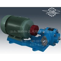 河南齿轮泵定制加工/泊头特种泵阀厂价直营齿轮油泵