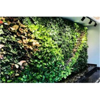 围蔽墙面绿化设计施工 河源蔚蓝环境绿化