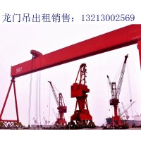 广东揭阳龙门吊厂家 25吨龙门吊的几种用途形式