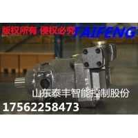 泰丰供应TFA11VLO190LRDS/11R-NZD12N00液压泵