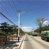河南30瓦LED路灯杆5米新农村太阳能灯厂家