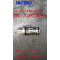 山东泰丰智能厂家生产供应螺纹单向阀TCF-XAN