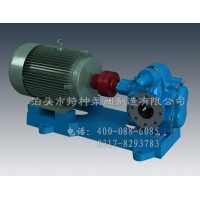 黑龙江不锈钢齿轮油泵零售/泊头特种泵厂价零售齿轮泵
