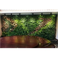 蜂槽墙上绿植效果图 河源蔚蓝环境绿化