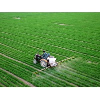 天津小麦代管代种|陕西王冉农业代栽培小麦种植