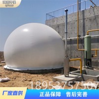 大型双膜储气柜 球形柔式双膜储气柜 独立密封干式沼气储气柜