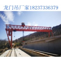 广东河源龙门吊销售厂家5-100T设备类型